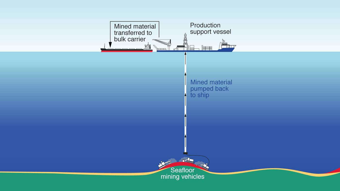 The secret on the ocean floor – BBC News (Deep Sea Mining ...
